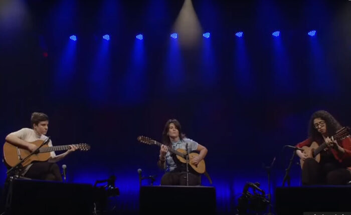 Violeiras fora da caixa